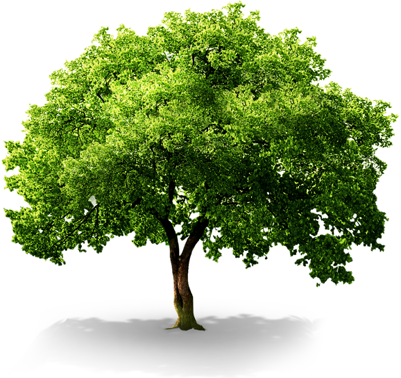 플래티늄 전남나주점