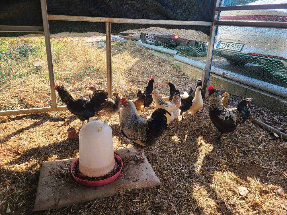 나주 플래티늄 요양원 새로운 식구를 소개합니다.