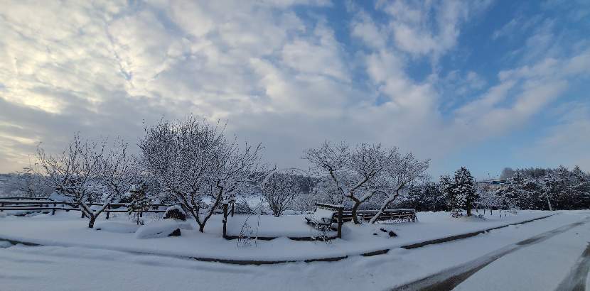 예쁜 눈구경하세요^^