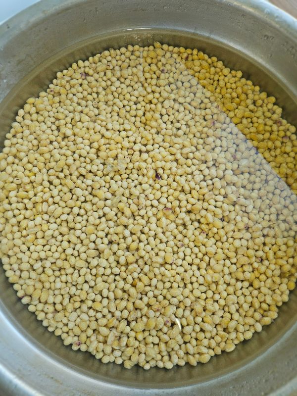 중복 복달임 콩국수 준비중